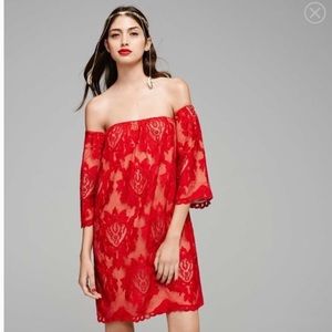 Lace Off-the-Shoulder Dress